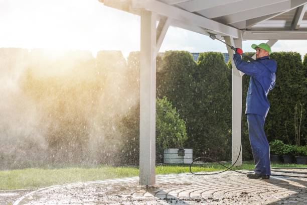 Best Parking Lot Cleaning in Pinetops, NC
